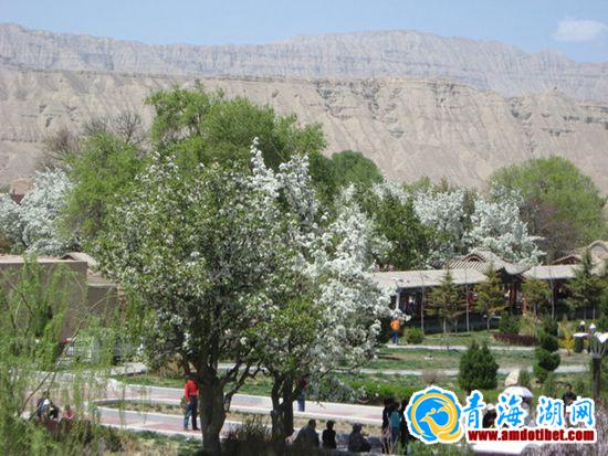 青海贵德第九届黄河文化旅游节期间天气预报_