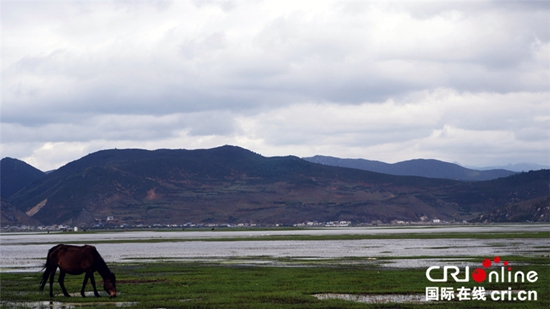 森林背后的美丽纳帕海_景点景区