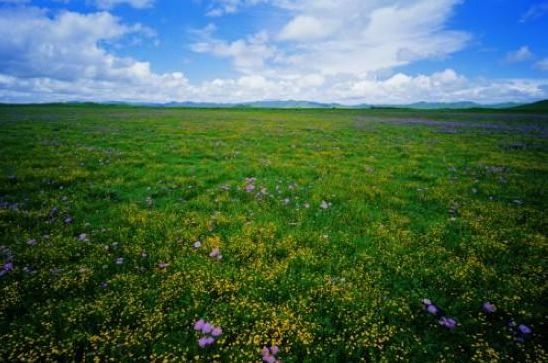 玛曲县西麦朵合塘景区