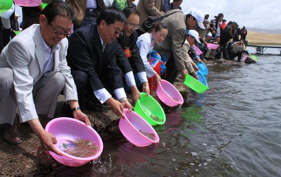 青海湖国际雕塑艺术节