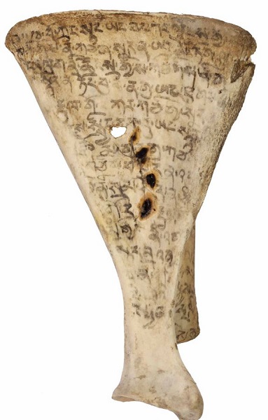 青海省都兰热水23号墓出土的古藏文胛骨释读