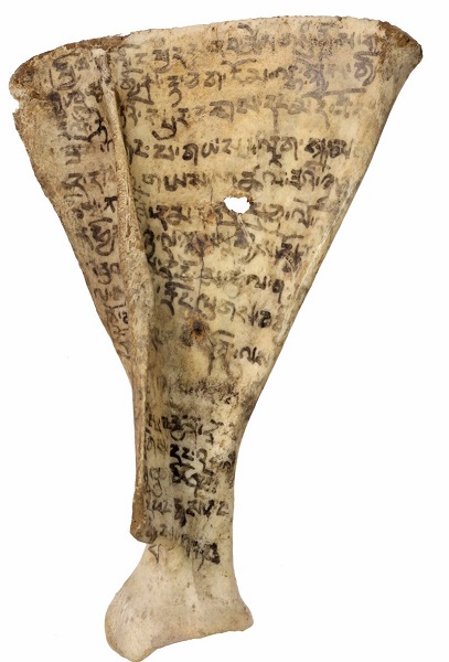 青海省都兰热水23号墓出土的古藏文胛骨释读