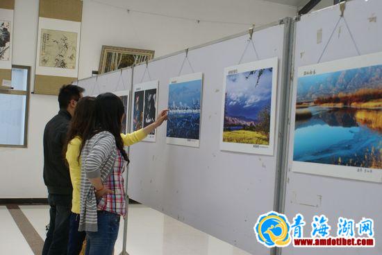 青海省海南藏族自治州书画摄影展开幕
