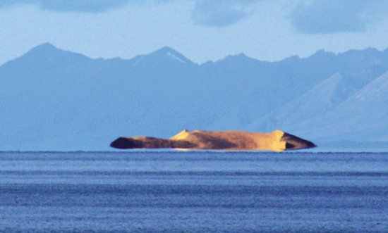 青海湖之五大奇观简述
