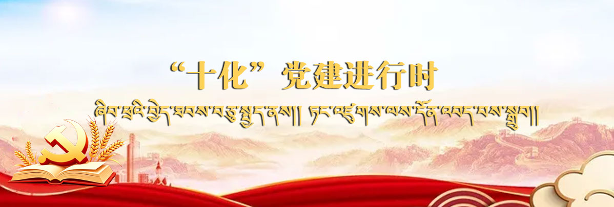 十化党建